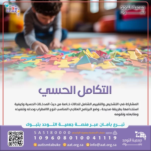 التكامل الحسي